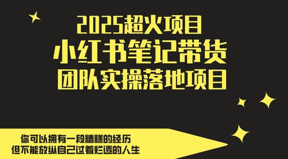 2025超火项目，副业最佳选择，小红书笔记带货团队实操落地项目，，轻松日入5张_八载学创