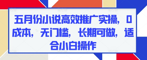 五月份小说高效推广实操，0成本，无门槛，长期可做，适合小白操作_八载学创