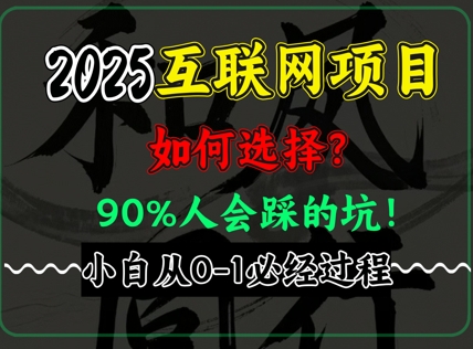 2025年互联网项目搞钱方法论，全是干货，肺腑之言，新手从0-1必经过程，边看边实操_八载学创