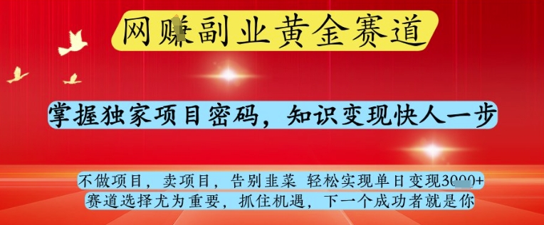 网创副业黄全赛道，掌握独家项目密码，知识变现快人一步，告别韭菜轻松实现单日变现1k+【揭秘】_八载学创