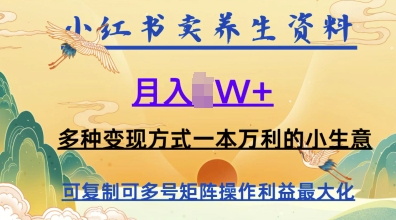 在小红书上卖养生资料，月入1w+，多种变现方式一本万利的小生意_八载学创