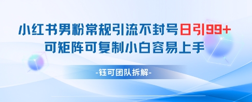 小红书男粉常规引流不封号日引99+变现简单 可矩阵可复制小白容易上手_八载学创