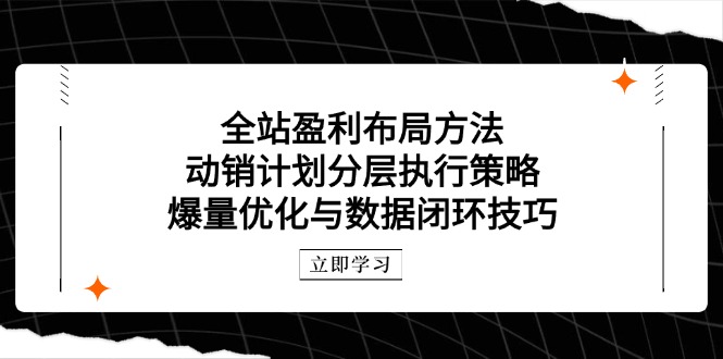 （14698期）全站盈利布局方法：动销计划分层执行策略，爆量优化与数据闭环技巧_八载学创