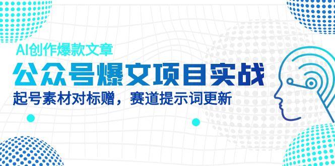 （14709期）公众号爆文项目实战，AI创作爆款文章，起号素材对标赠（附赛道AI提示词）_八载学创