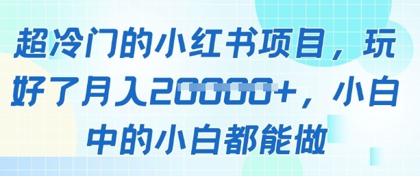 超冷门的小红书项目，玩好了月入过1w，小白中的小白都能做_八载学创
