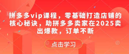 拼多多vip课程，零基础打造店铺的核心秘诀，助拼多多卖家在2025卖出爆款，订单不断_八载学创