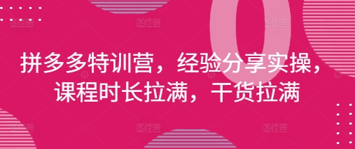 拼多多特训营，经验分享实操，课程时长拉满，干货拉满(更新25年4月)_八载学创