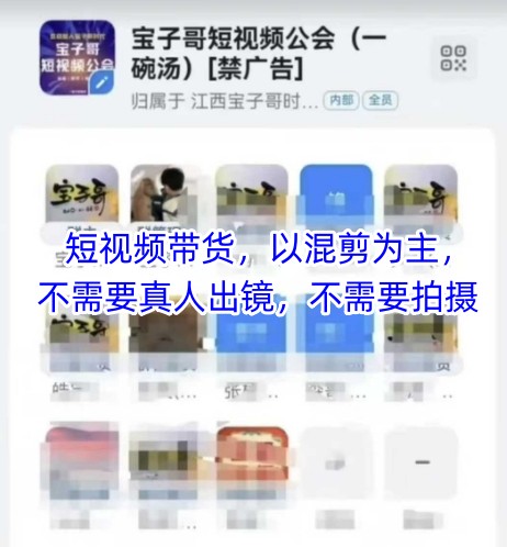 宝子哥头部团队短视频带货，以混剪为主，不需要真人出镜，不需要拍摄_八载学创